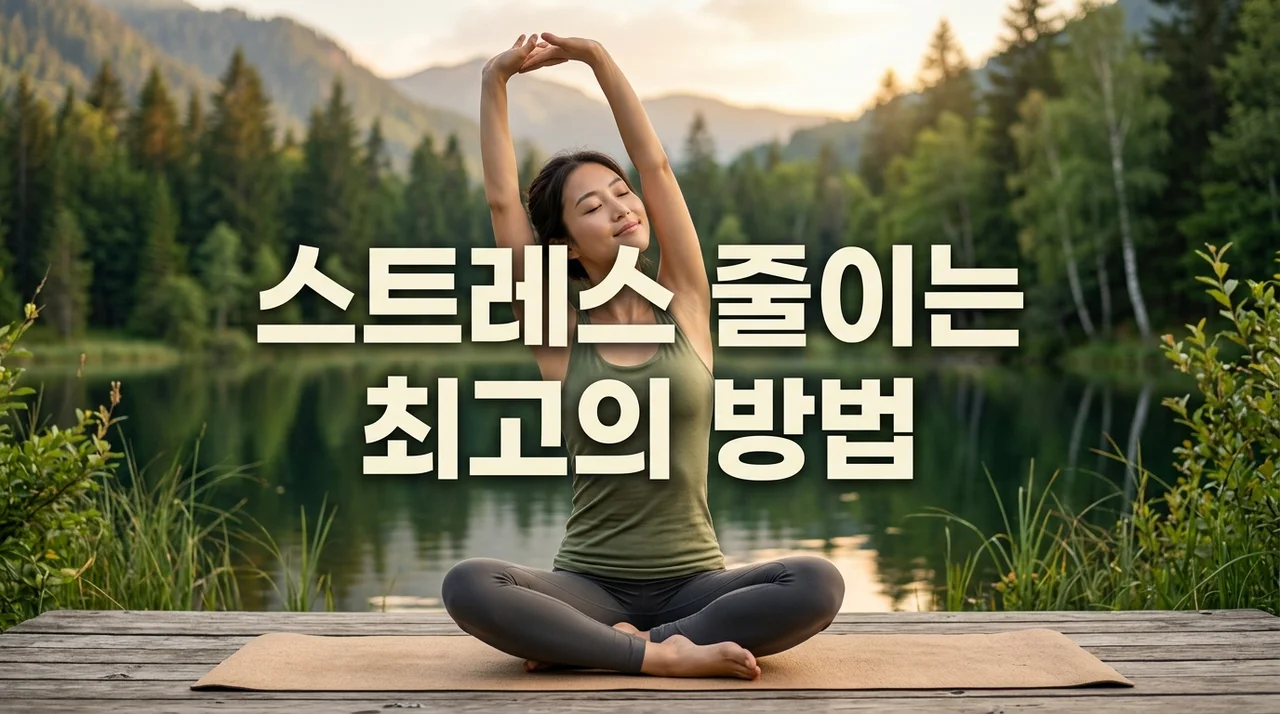 스트레스 줄이는 최고의 방법: 치유 운동 추천으로 몸과 마음 건강 찾기
