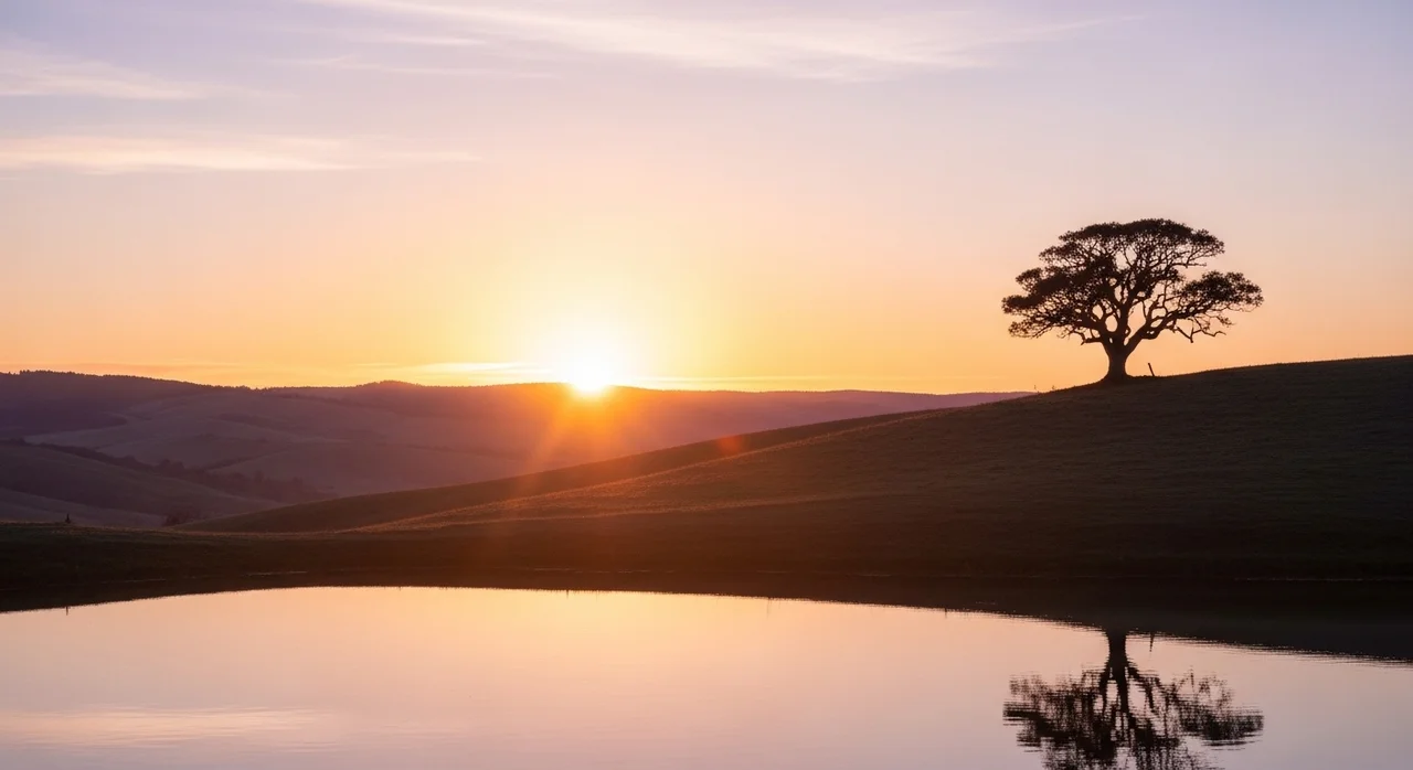 마치며: 위로의 마음이 가장 중요합니다