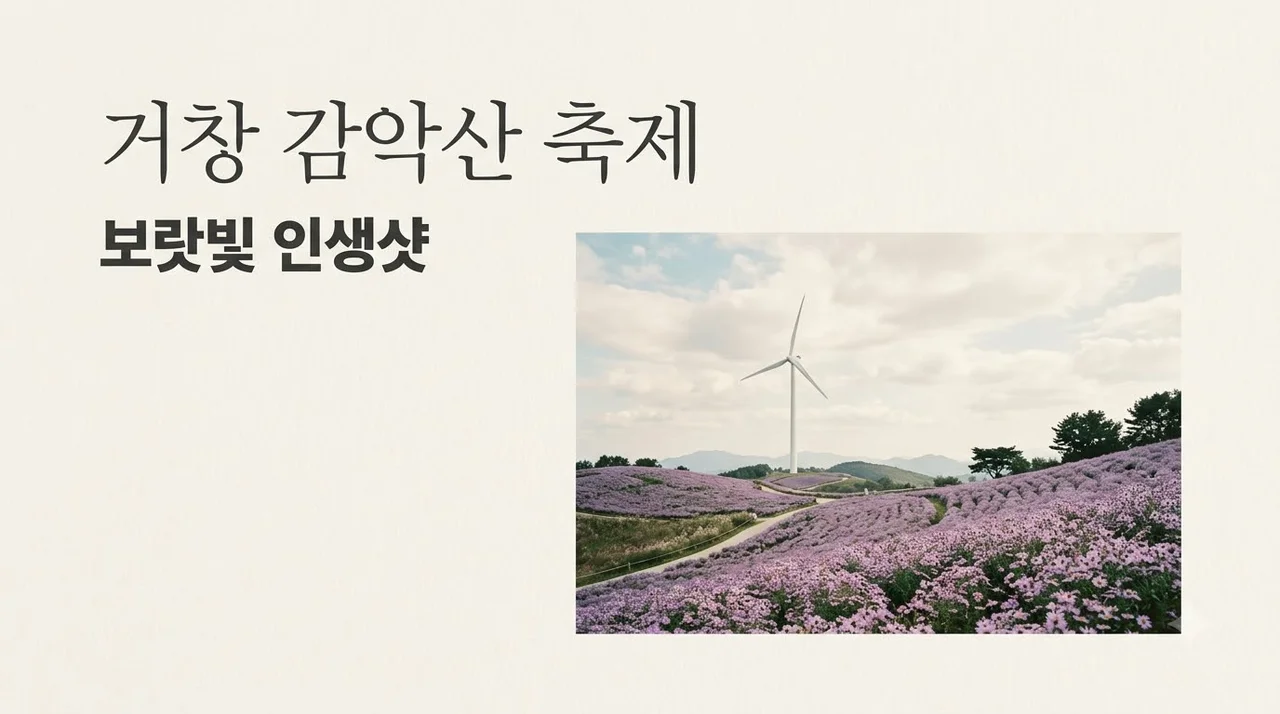 거창 감악산 축제 2026 주차 팁부터 별바람 언덕 인생샷 명소까지 총정리