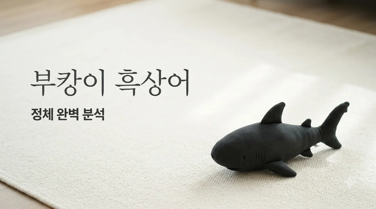 부캉이 흑상어 정체, 품절 대란의 이유와 정품 구별법 완벽 정리