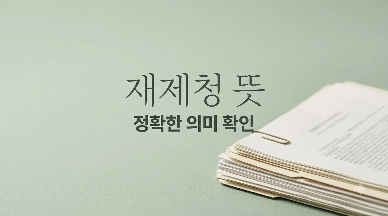 재제청 뜻 완벽 정리! 법률 용어부터 실제 사례까지 한눈에 보기